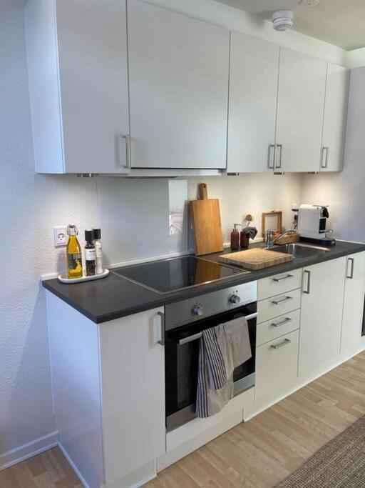 Skandinavisk City-Lejlighed! Apartment Одензе Екстериор снимка